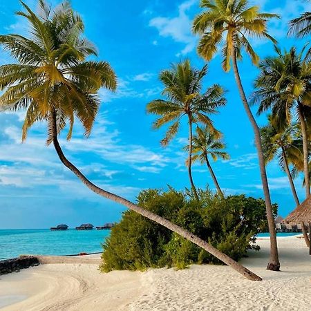 Costa Nova Itagua Διαμέρισμα Ubatuba Εξωτερικό φωτογραφία